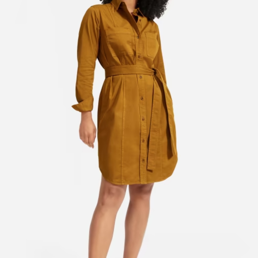 Everlane The Modern Utility Shirtdress